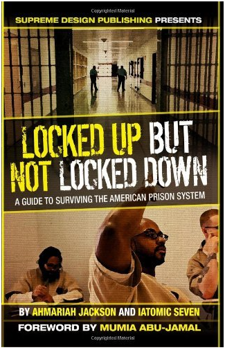 LOCKED UP BUT NOT LOCKED DOWN: A GUIDE TO SURVIVING THE AMERICAN PRISON SYSTEM